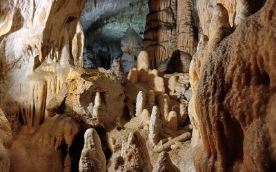 POSTOJNSKA JAMA, NAJBOLJŠI DAN V ŽIVLJENJU…